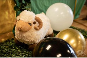 Sheep Soft Toy for Hire in Christchurch
