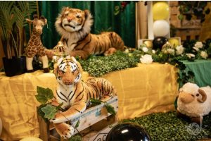Tiger Soft Toy for Rent in NZ