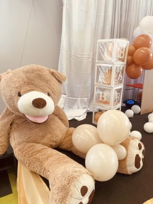 Teddy Soft Toy for Hire in Christchurch