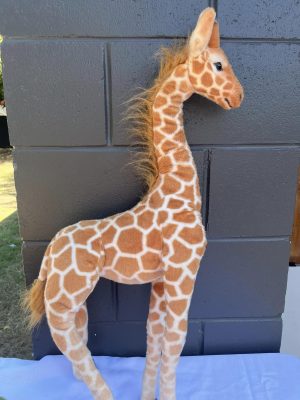 Giraffe Soft Toys