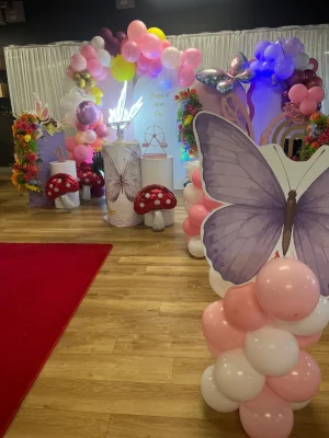 Magical Butterfly Set Up